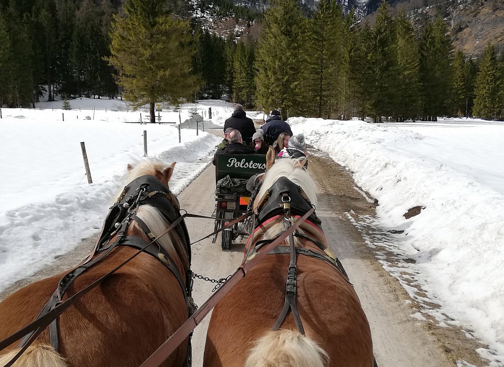 Gruppenbild auf der Schipiste